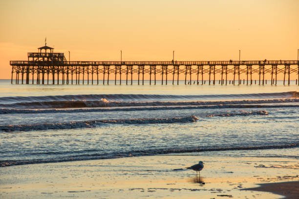 Coastal view inspiration